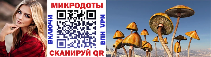 купить наркотик  Владивосток  Галлюциногенные грибы Cubensis 