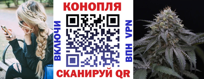 Каннабис индика  где купить наркоту  Владивосток 
